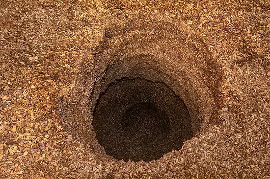 hackschnitzel-foerdermulde hackschnitzel mit foerderschnecke